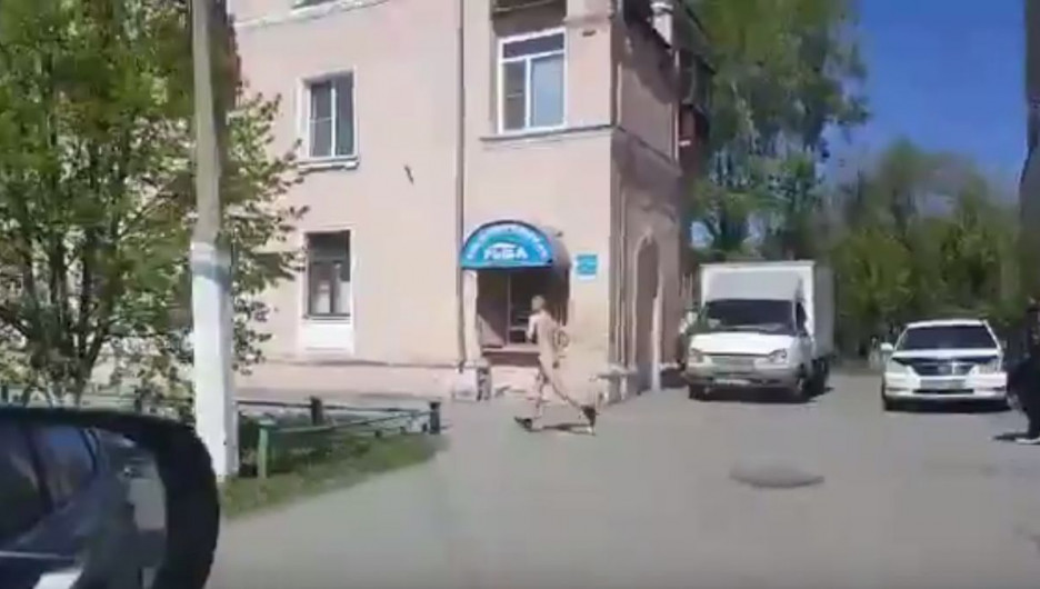 По Новоалтайску пробежал голый парень. 14 мая 2017 года.