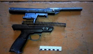 В Заинске в частном доме полицейские нашли пистолет и патроны.