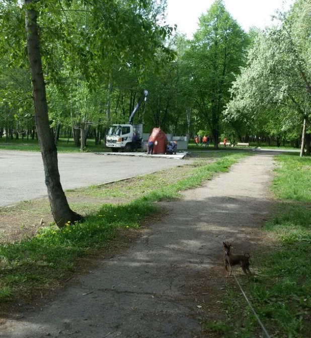 Барнаульский мамонтенок переехал из Центра на Поток. 22 мая 2017 года.