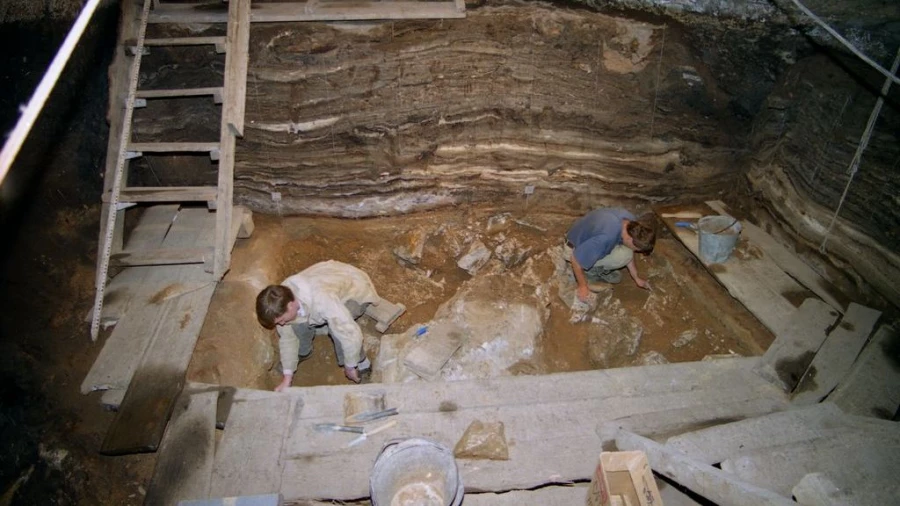 Раскопки в Денисовой пещере в 2010 году. 