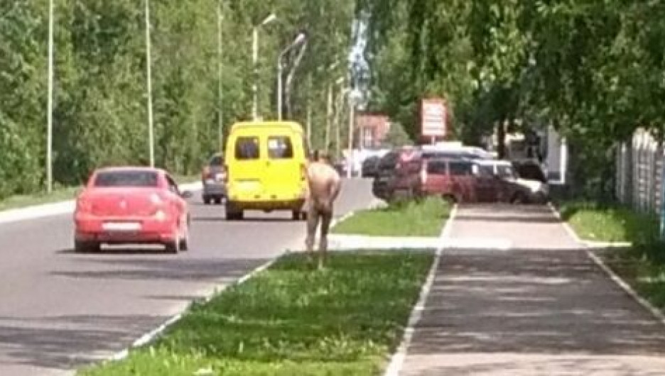 По Бийску бегал голый мужчина. 24 мая 2017 года.