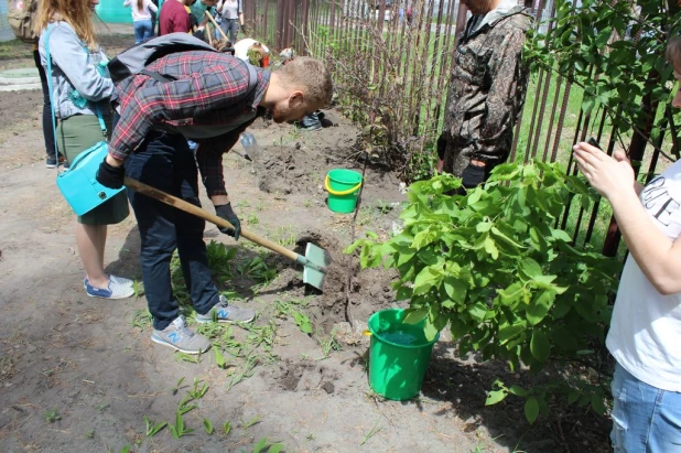 Новый корпус АлтГУ в Южно-Сибирском ботаническом саду.