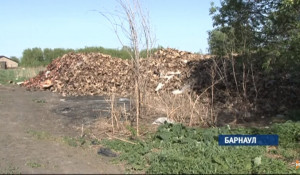Жители барнаульских поселков просят убрать из жилой зоны цех по производству костной муки