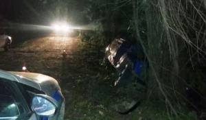 В Майме УАЗ, под управлением пьяного 18-летнего парня, слетел с дороги и врезался в дерево. 27 мая 2017 год.