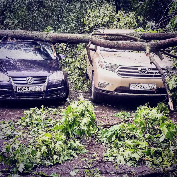 Последствия московского урагана. 29 мая 2017 года.