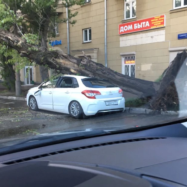 Последствия московского урагана. 29 мая 2017 года.