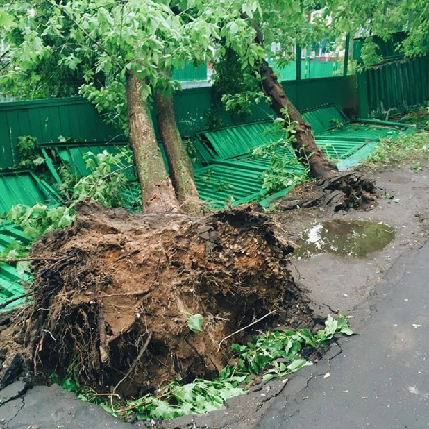 Ураган 2017 в москве фото