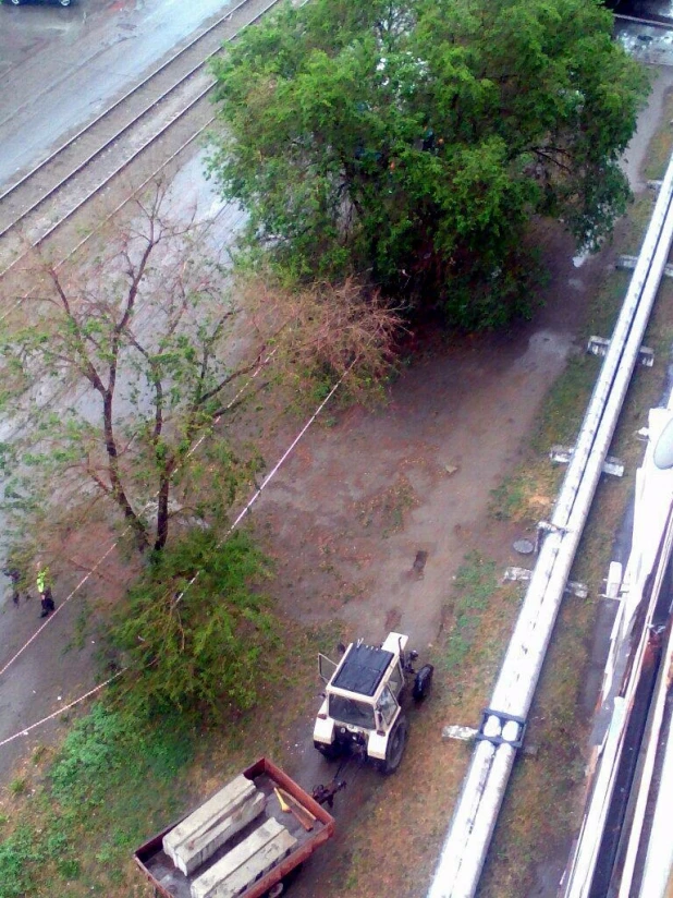 В Бийске пенсионерка провалилась в обрушившуюся теплотрассу и получила ожоги. 30 мая 2017 года.