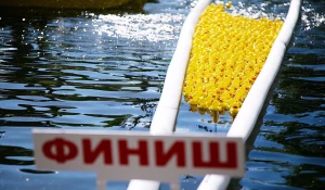 Утиный заплыв.