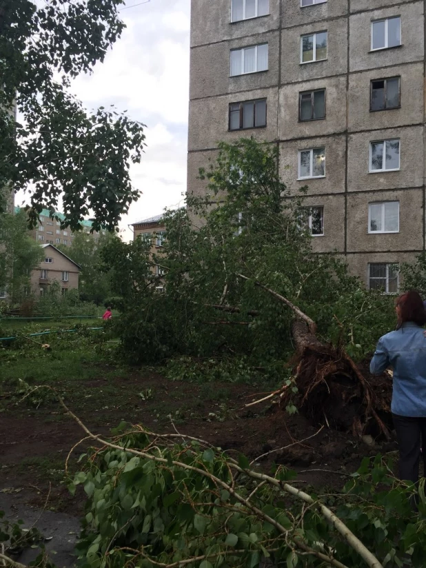 Ураган в Барнауле. 30 мая 2017.