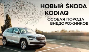 Skoda Kodiaq.