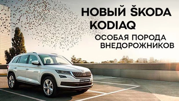 Skoda Kodiaq.