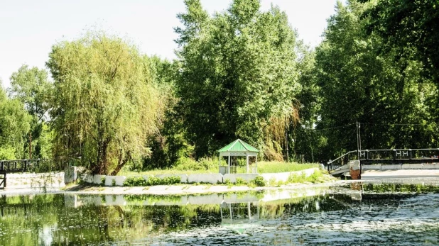 Вырубка деревьев в парке "Изумрудный".