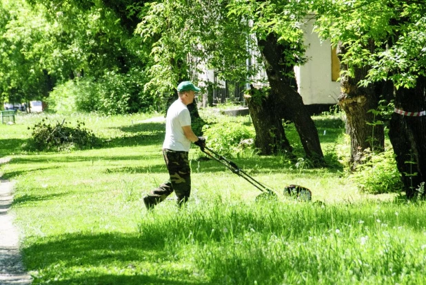 Вырубка деревьев в парке "Изумрудный".