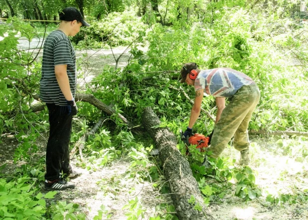 Вырубка деревьев в парке "Изумрудный".