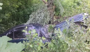 На Чуйском тракте машина слетела с дороги и перевернулась