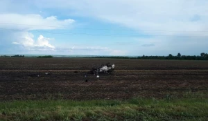 ДТП в Топчихинском районе.