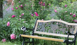 Эко-парк "Сад Пионов"