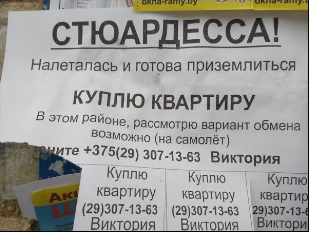 Смешные надписи.