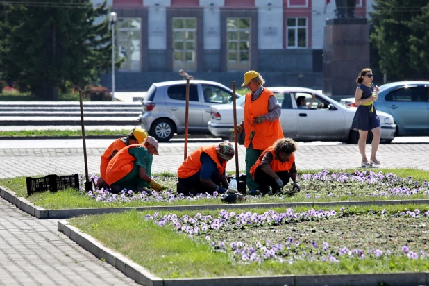 Барнаул в июне.