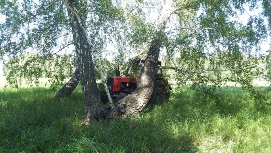 На Алтае мужчина угнал трактор и спрятал его под деревом