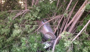 В Барнауле иномарка слетела в кювет и повисла на дереве