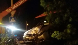 Автомобиль врезался в дерево