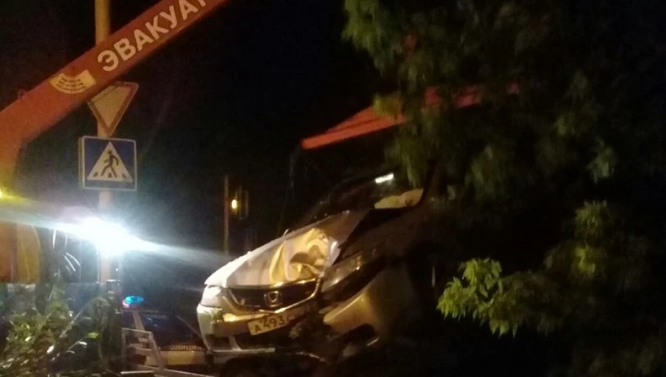 Автомобиль врезался в дерево