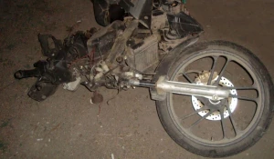 Мотоциклист врезался в телёнка