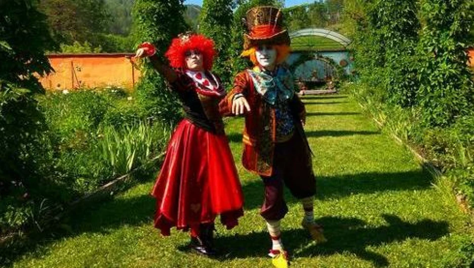 Праздник цветения пионов прошел на Алтае.