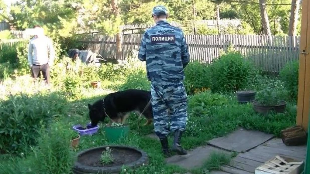 Полицейский с собакой.