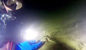 Водолазы исследовали дно Телецкого озера.