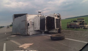 ДТП на Чуйском тракте