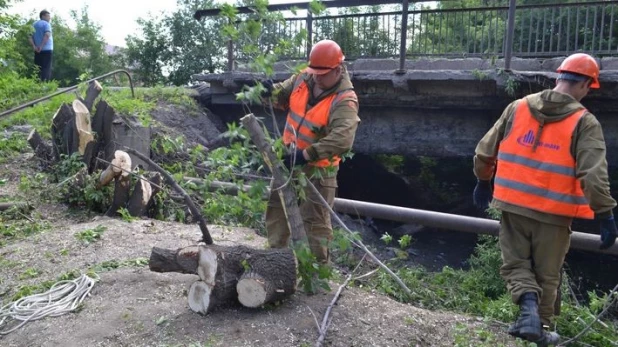 Вырубка деревьев возле Пивоварки