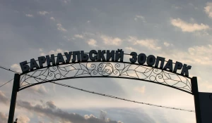 Ночь в Барнаульском зоопарке 30 июня 2017.