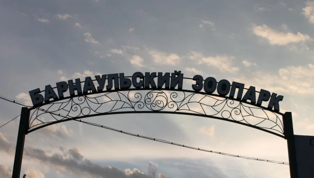 Ночь в Барнаульском зоопарке 30 июня 2017.