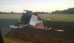 На Алтае перевернулся грузовик с мясом. 5 июля 2017 года.