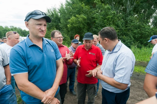 В Алтайском крае второй год занимаются возделыванием высокопротеиновой сои 