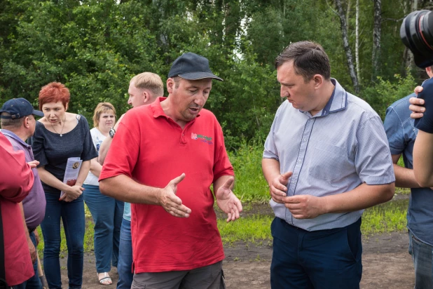 В Алтайском крае второй год занимаются возделыванием высокопротеиновой сои