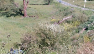 ДТП в Онгудайском районе.