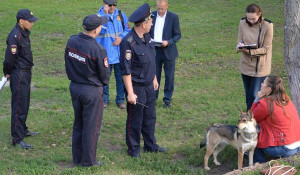 В Барнауле накажут владелиц собак за выгул животных в сквере у политеха.