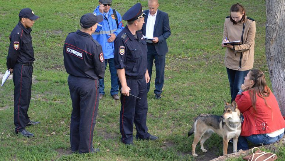 В Барнауле накажут владелиц собак за выгул животных в сквере у политеха.