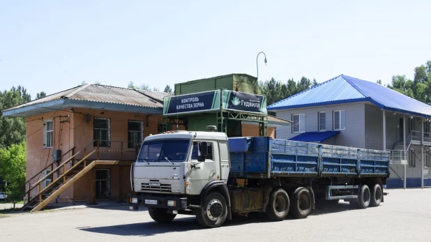 На производстве овсяной крупы компании "Алтайская крупа".