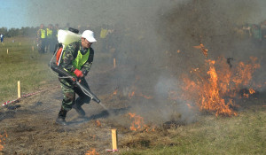 В Алтайском крае потушили трансграничный лесной пожар.