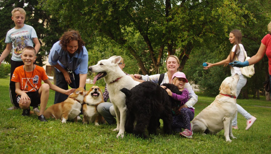 Слюни счастья и виляющий хвост. 8 радостей, которые можно устроить своей собаке в Барнауле