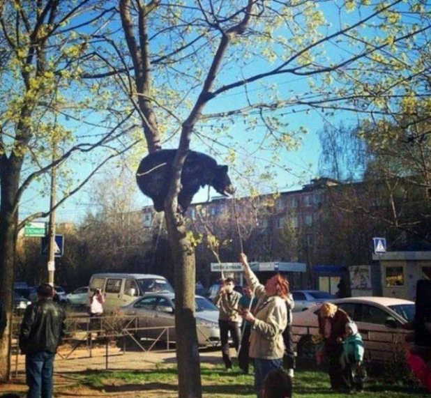 Забавные снимки с просторов интернета.