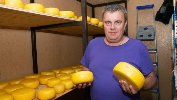Фермер Владимир Никитченко начал продавать сыр Качотта 