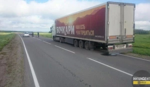 На Алтае хулиганы вмонтировали на автодороге в асфальт металлические шипы.