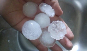 Град выпал в Чойском районе. 18 июля 2017 года.