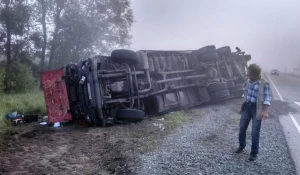 На трассе Алтай-Кузбасс столкнулись две фуры